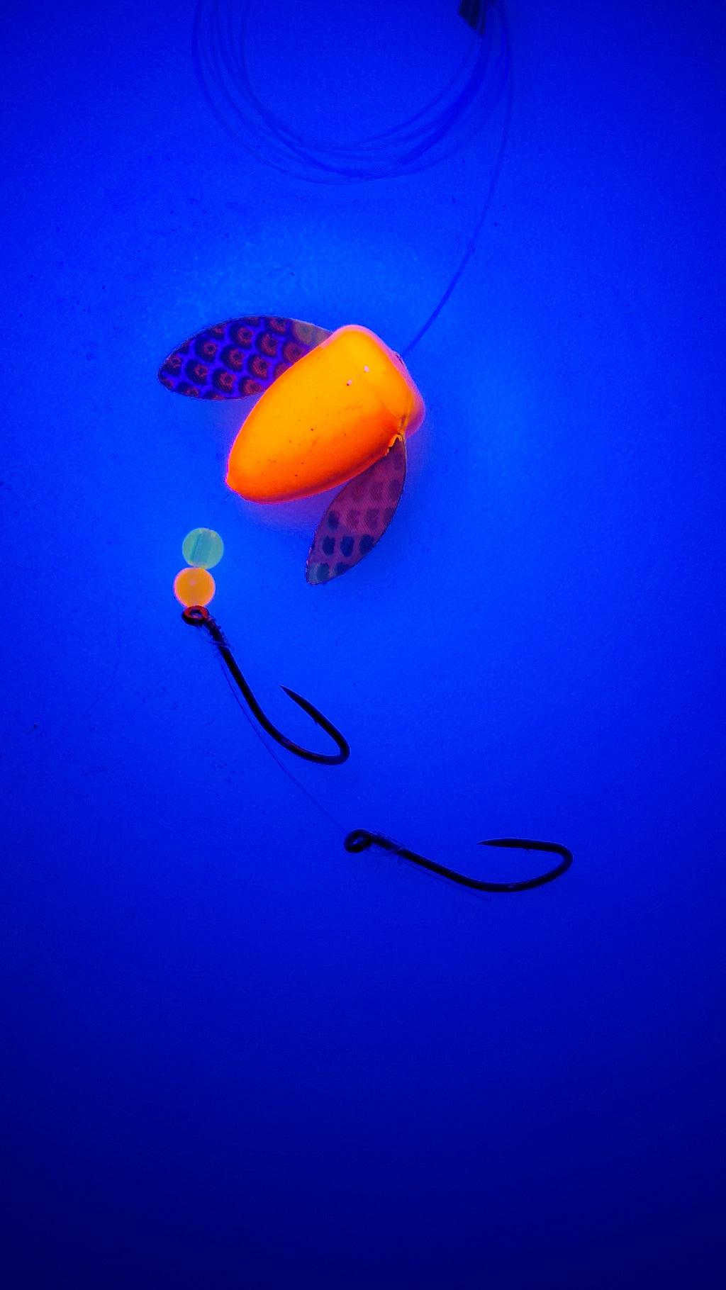 Orange Spin N' Glow